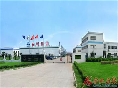 安利合成革股份(fen)有限公司