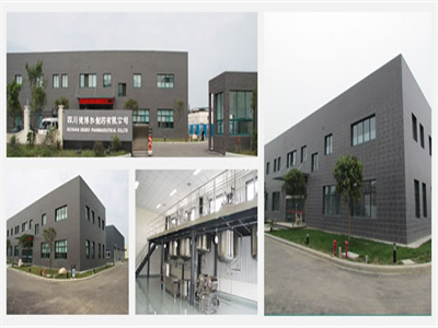 四(si)川德博爾(ěr)制藥有限(xiàn)公司